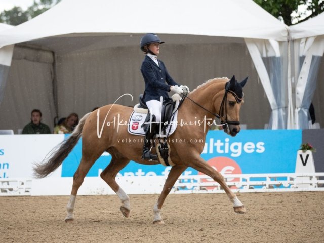 Hamburger Pony Dressur Derby 26
