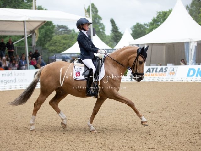 Hamburger Pony Dressur Derby 27