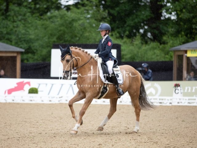 Hamburger Pony Dressur Derby 28