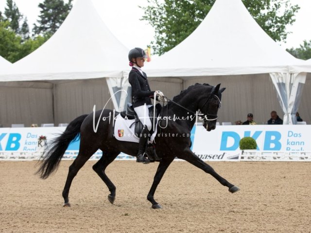 Hamburger Pony Dressur Derby 1