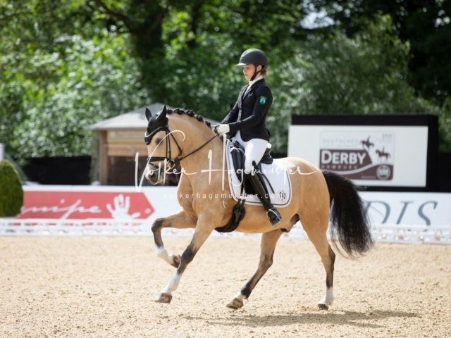 Hamburger Pony Dressur Derby 2