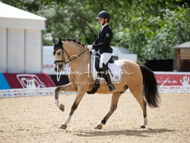 Hamburger Pony Dressur Derby 3