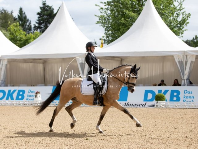Hamburger Pony Dressur Derby 4