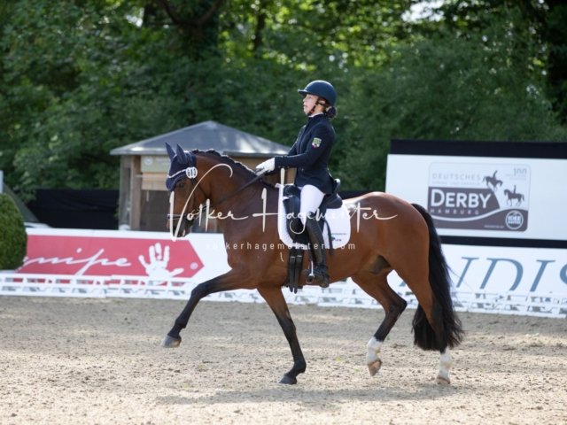 Hamburger Pony Dressur Derby 5