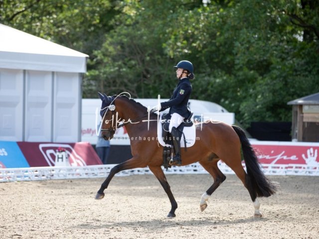 Hamburger Pony Dressur Derby 6