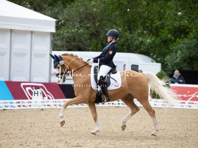 Hamburger Pony Dressur Derby 9