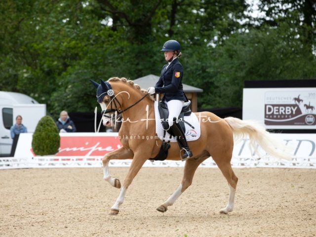 Hamburger Pony Dressur Derby 10