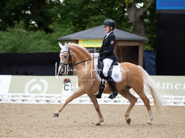 Hamburger Pony Dressur Derby 12