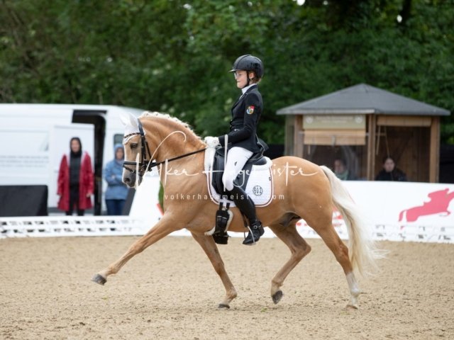 Hamburger Pony Dressur Derby 13