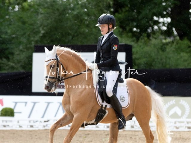 Hamburger Pony Dressur Derby 14