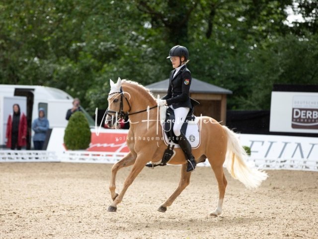 Hamburger Pony Dressur Derby 15