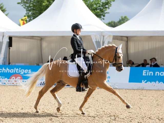 Hamburger Pony Dressur Derby 16
