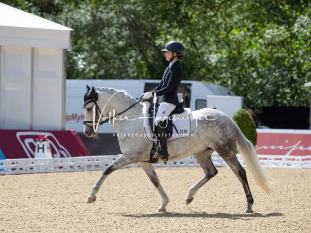 Hamburger Pony Dressur Derby 17