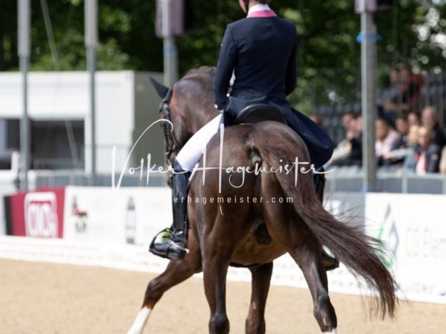 Hamburger Derby Prix St. Georges 4