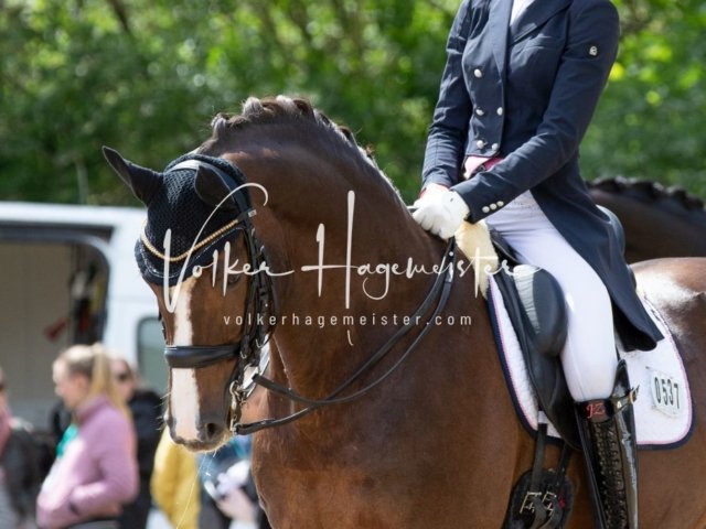 Hamburger Derby Prix St. Georges 5