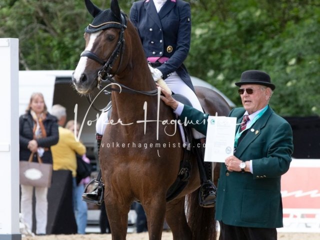 Hamburger Derby Prix St. Georges 7