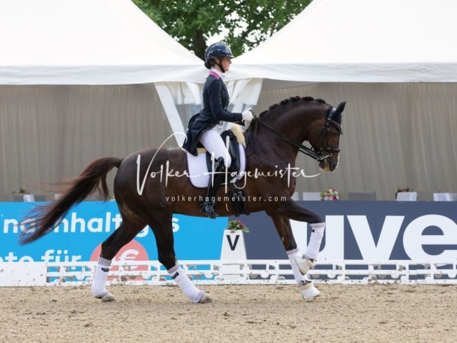 Hamburger Derby Prix St. Georges 8