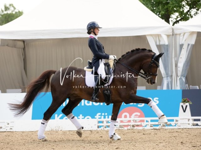 Hamburger Derby Prix St. Georges 9