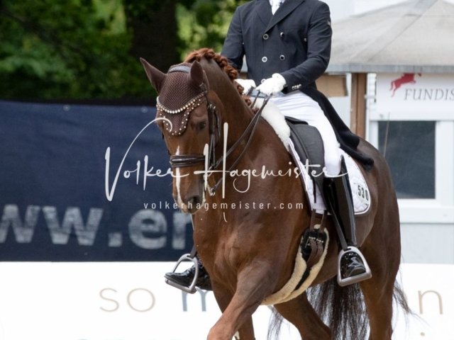 Hamburger Derby Prix St. Georges 11