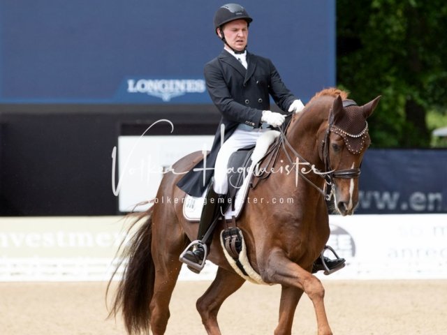 Hamburger Derby Prix St. Georges 12