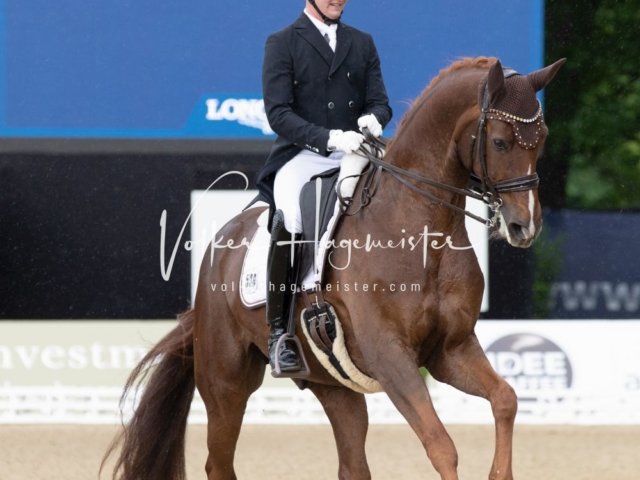 Hamburger Derby Prix St. Georges 13