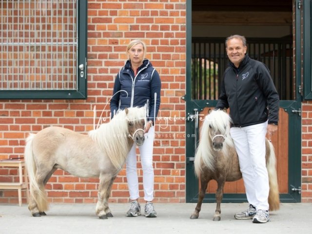 Stuteneintragung Immenhof 2