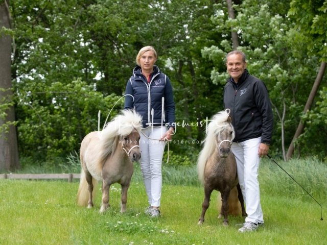 Stuteneintragung Immenhof 3