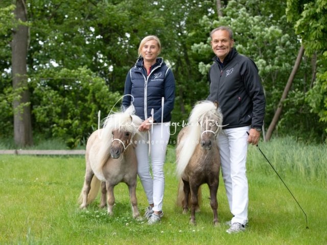 Stuteneintragung Immenhof 5