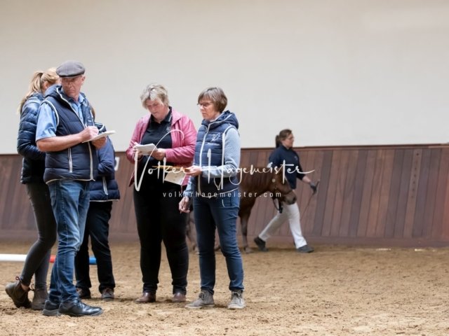 Stuteneintragung Immenhof 9