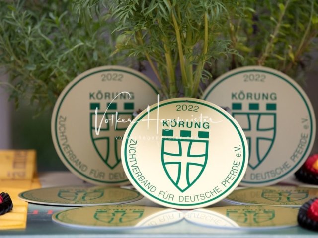 Grevenbroich ZfdP Körung 5