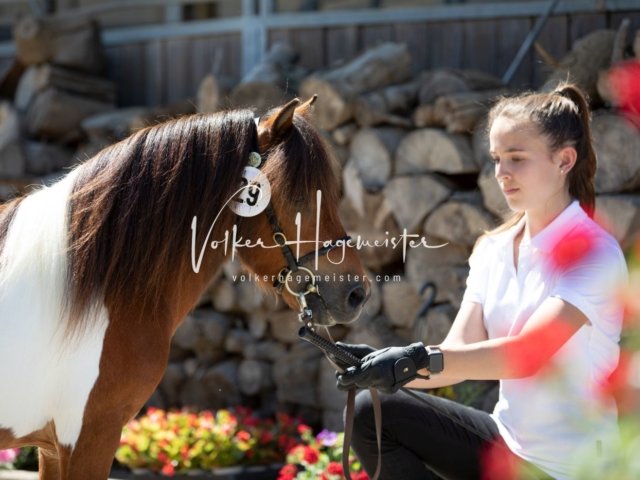 Grevenbroich ZfdP Körung 11