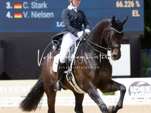 Hamburger Derby Prix St. Georges 17