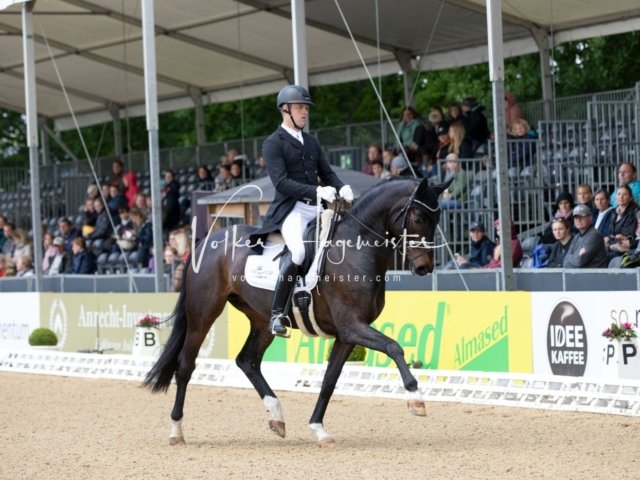 Hamburger Derby Prix St. Georges 18