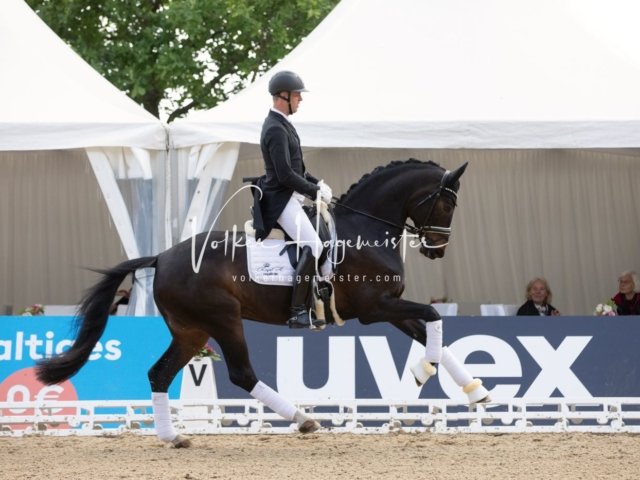 Hamburger Derby Prix St. Georges 20