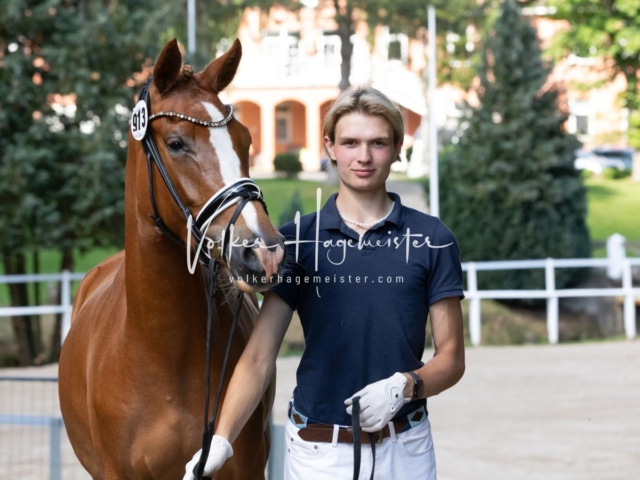 PSB Stuteneintragung Schönhorst 13