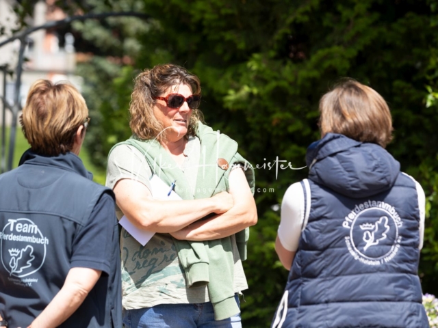 PSB Stuteneintragung Schönhorst 27