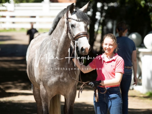PSB Stuteneintragung Schönhorst 29