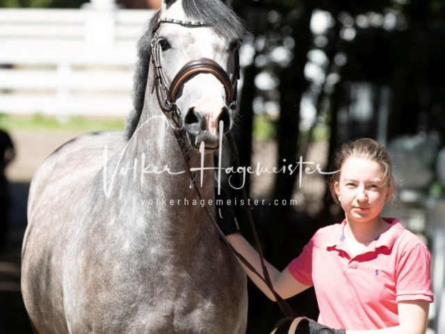 PSB Stuteneintragung Schönhorst 30