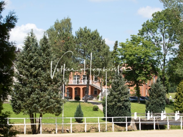 PSB Stuteneintragung Schönhorst 1