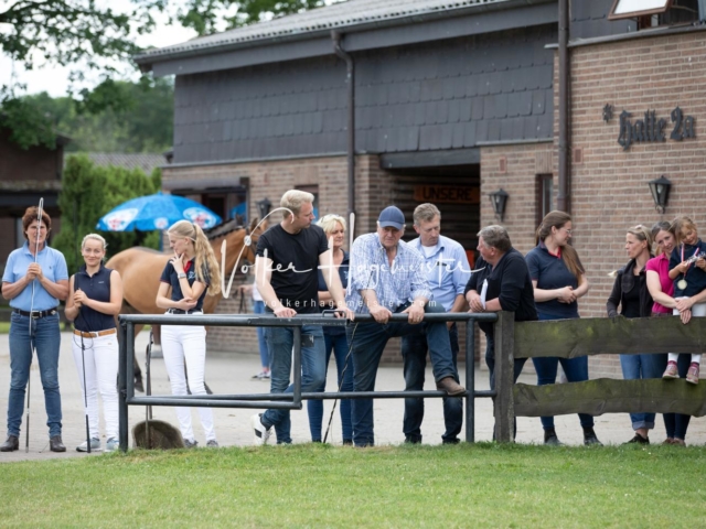 PSB Eliteschau Teil 1 Siegerstuten 26