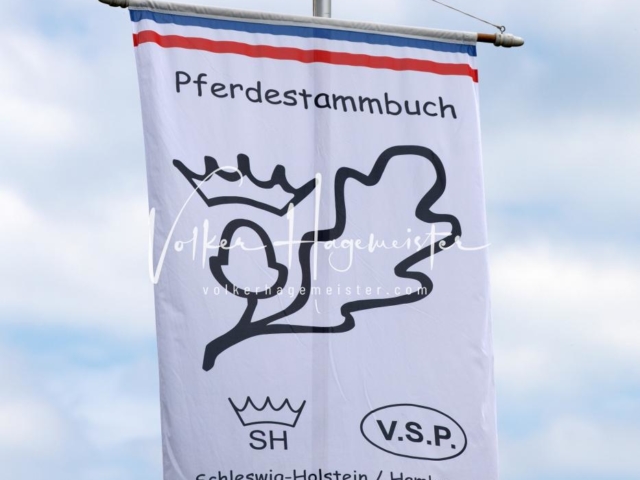 PSB Eliteschau Teil 1 Siegerstuten 1