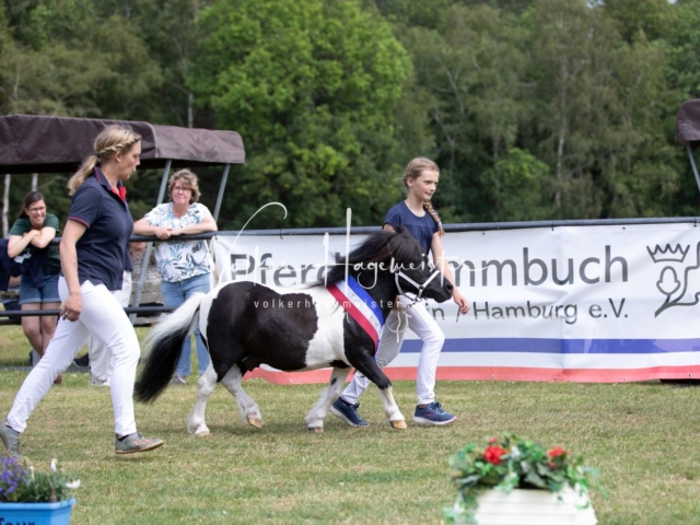 PSB Eliteschau Elite-Auszeichnungen 7