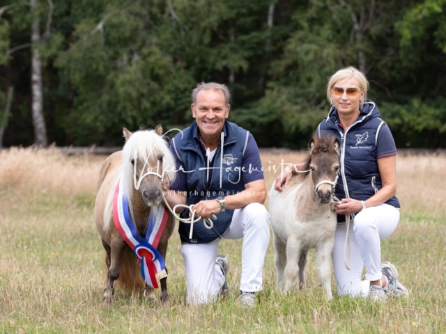 PSB Eliteschau Elite-Auszeichnungen 8