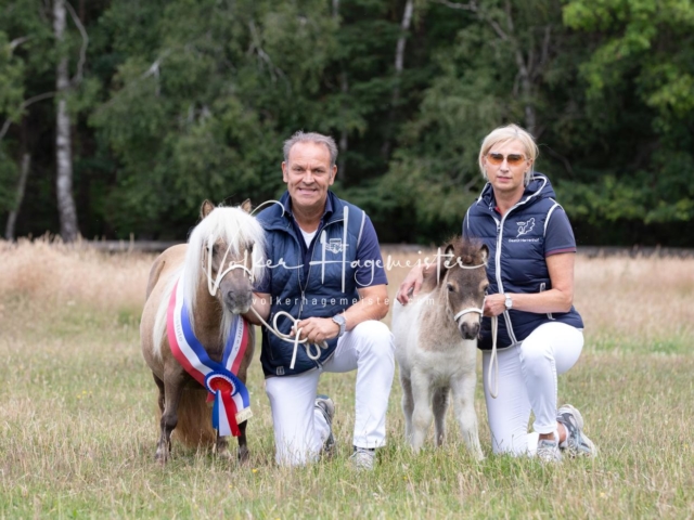 PSB Eliteschau Elite-Auszeichnungen 9