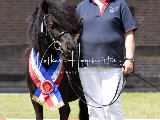 PSB Eliteschau Teil 1 Siegerstuten 18