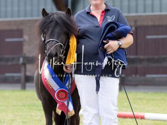 PSB Eliteschau Teil 1 Siegerstuten 21