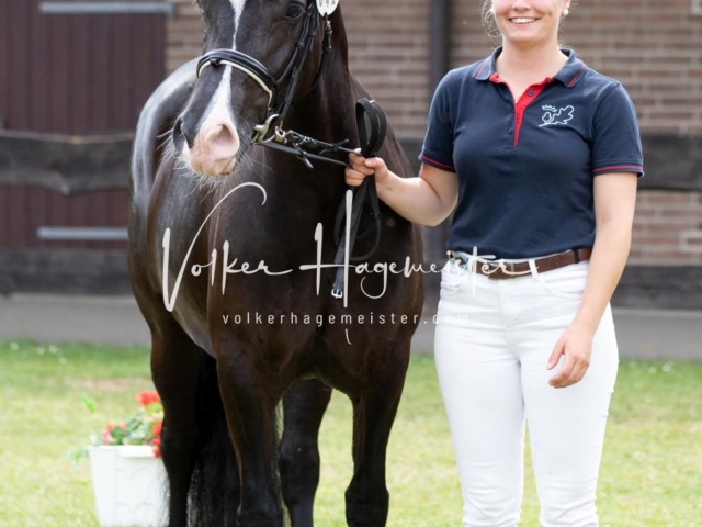 PSB Eliteschau Teil 2 8