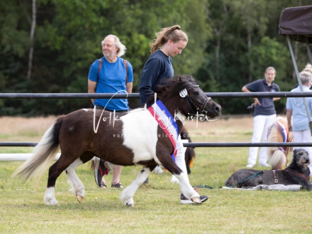 PSB Eliteschau Teil 1 Siegerstuten 26