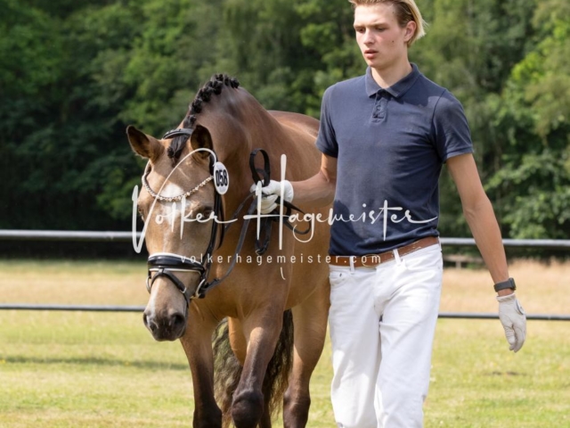 PSB Eliteschau Teil 2 15