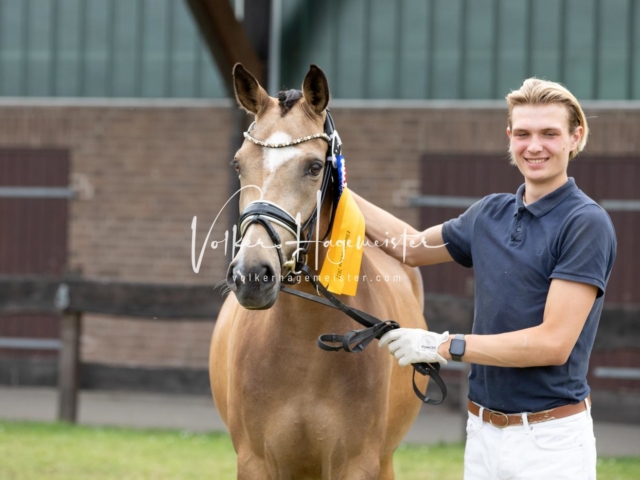 PSB Eliteschau Teil 2 17